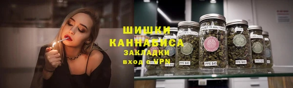 сатива Арсеньев