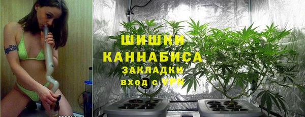 сатива Арсеньев