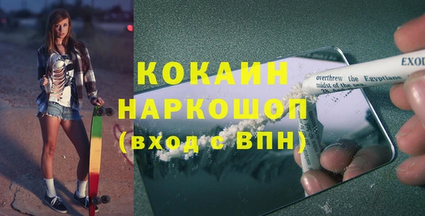 сатива Арсеньев