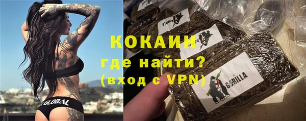 сатива Арсеньев