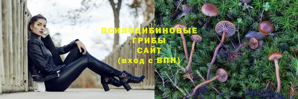 spice Балабаново