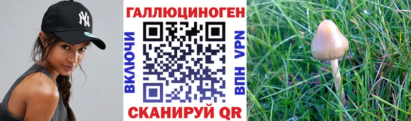 Псилоцибиновые грибы Cubensis  наркотики  Бавлы 